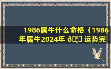 1986属牛什么命格（1986年属牛2024年 🦆 运势完 🍀 整版）